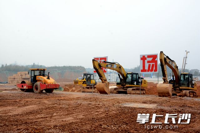 该项目今年将加快3号车间、中试车间以及其他配套建筑的建设。段欣妤 摄