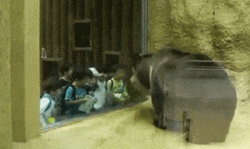 总的来说，就是这样吃