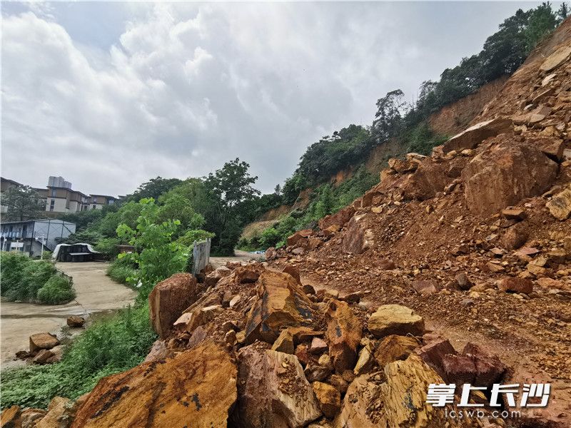 鹅羊山南侧发生山体滑坡。长沙晚报全媒体记者刘树源摄