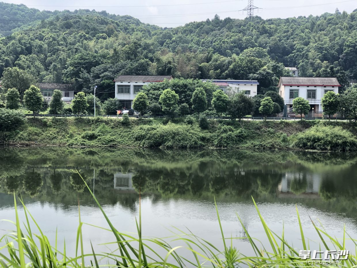 含泰社区一角，村民生活在绿树掩映的环境中，这里山青翠、水清澈。 长沙晚报全媒体记者 钱娟