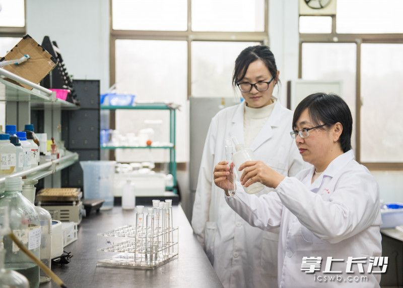 在湖南农业科学院，赵杨和苗雪雪是同事，又是友邻，今年都选择不回家过年。（左为苗雪雪，右为赵杨）  均为长沙晚报全媒体记者黄启晴摄