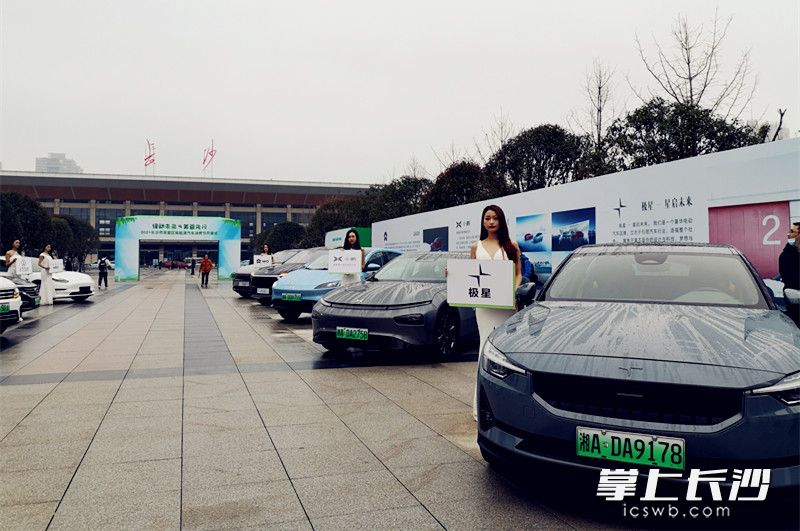 各品牌新能源汽车参与展示促销。