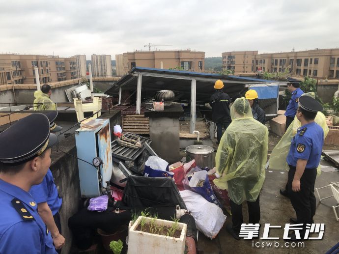 3日，城管部门组织人员对违建鸽棚进行拆除。均为通讯员 杜治锐 张华 供图