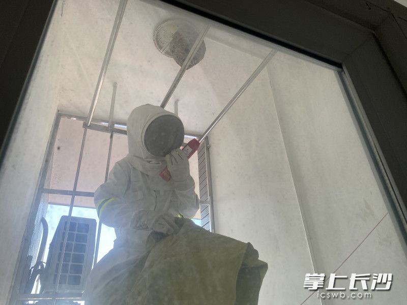 消防救援人员身穿防蜂服，为群众摘除马蜂窝。均为长沙晚报通讯员 谢海鹏 供图