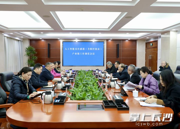 人工智能及传感器（含数控机床）产业链工作调度会议。长沙晚报通讯员 黄顺泽 摄