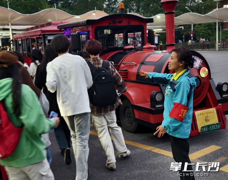 周娇引导游客乘坐观光小火车。 长沙晚报通讯员 严鑫 摄