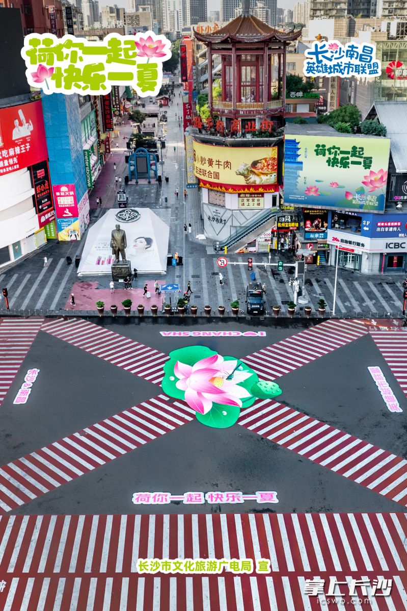 斑马线“开”花了。