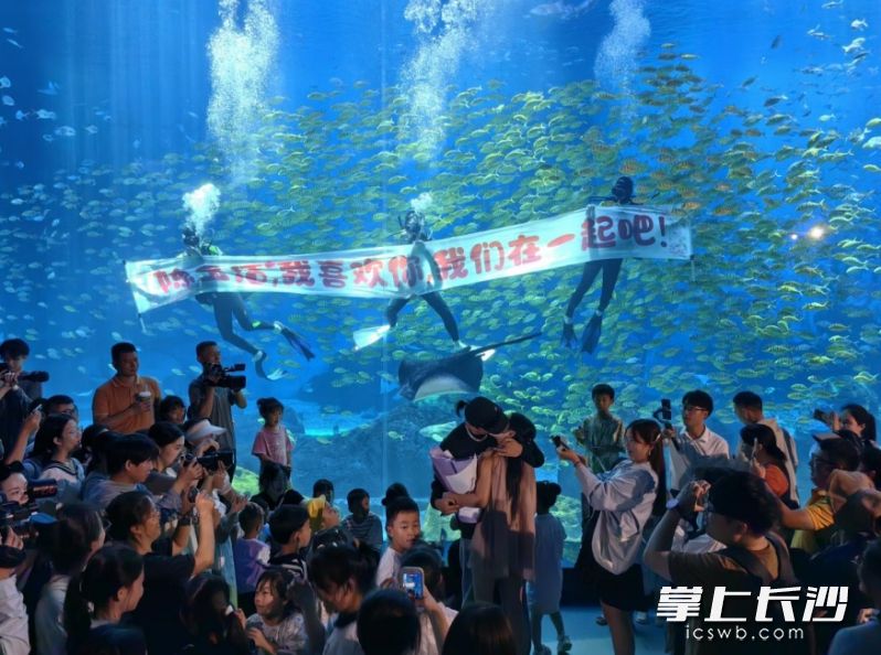 现场上演浪漫告白。 现场上演浪漫告白。