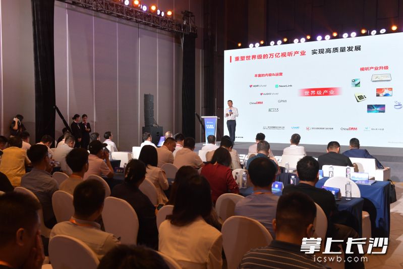 2024互联网岳麓峰会主题论坛之一的“文化智核 科技新篇”主题论坛在长沙举行。长沙晚报全媒体记者 王志伟 摄