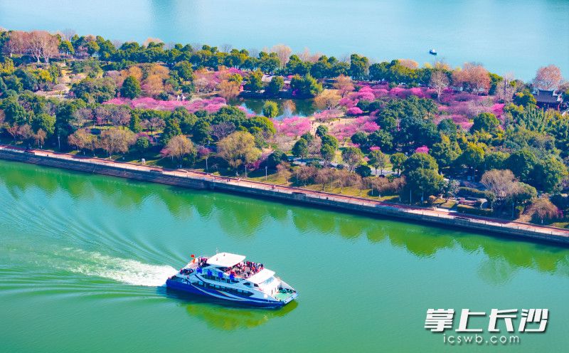 游客们坐在游轮上观赏梅园美景。