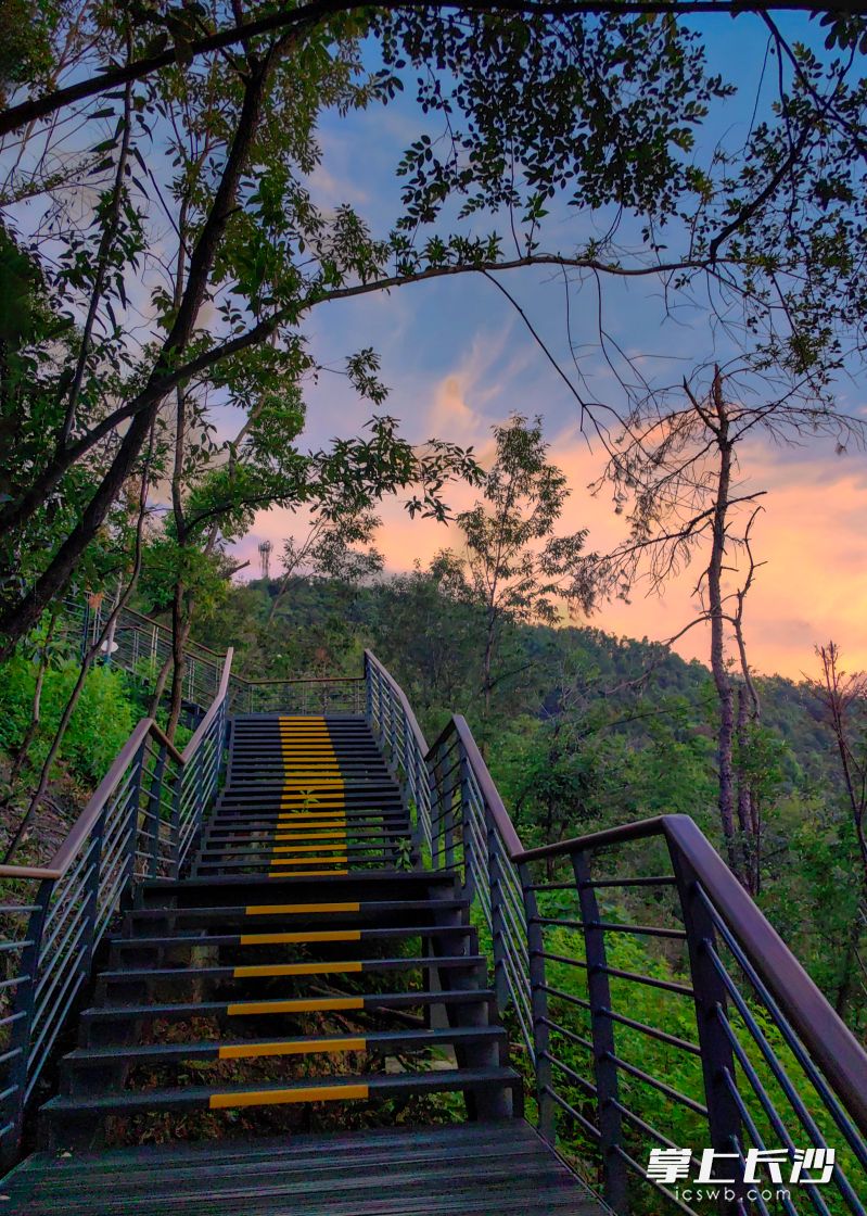 从民宿后山就能直接踏上长株潭绿心中央公园绿道。 从民宿后山就能直接踏上长株潭绿心中央公园绿道。