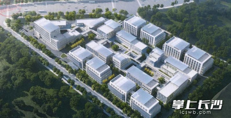 项目效果图。 园区供图