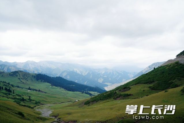 9月7日，我们将迎来白露节气，秋天的版图不断自北向南拓展。长沙晚报全媒体记者 舒元臻摄