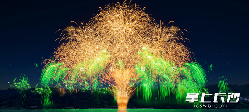 图为“金枝玉叶”烟花效果图，高达200米。均为长沙晚报通讯员 周茂林供图