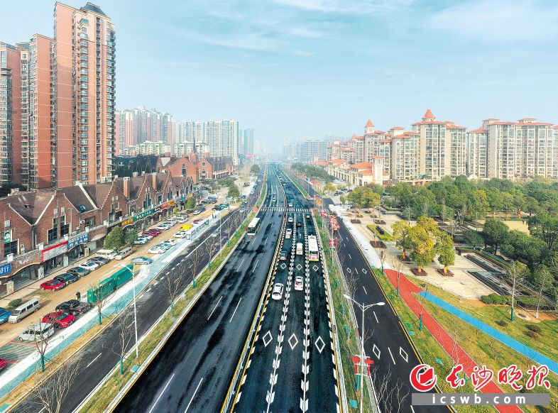 干净整洁的路面、明亮整齐的标识标线、色彩鲜艳的步行道、非机动车道、赏心悦目的绿化带以及五彩斑斓的花坛，让金星北路披上了“新装”。 陈飞 摄