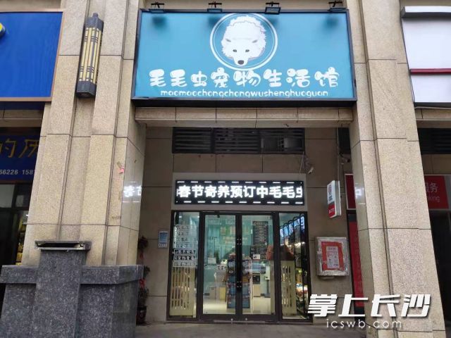在岳麓区映日路旁，一家宠物店打出“春节寄养预订中”的广告。 长沙晚报全媒体记者 聂映荣 摄