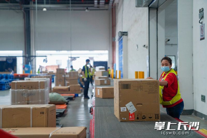 长沙顺丰丰泰产业园内，工作人员正在有序作业。长沙晚报全媒体记者 邹麟 邓迪 摄