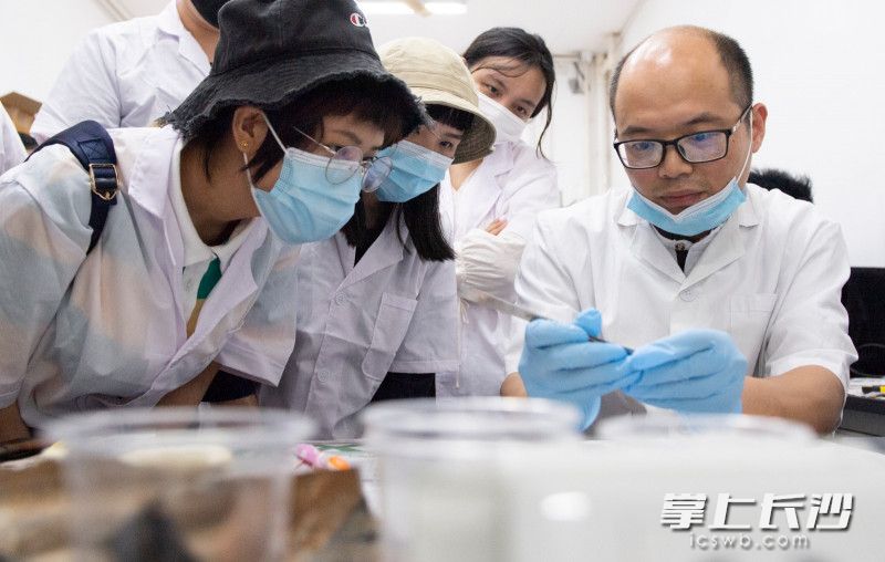 文物修复师莫泽给大家示范讲解修复文物的注意事项。