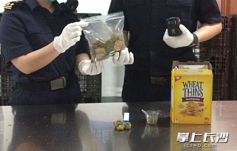 图为长沙海关工作人员查获走私大麻。长沙海关供图