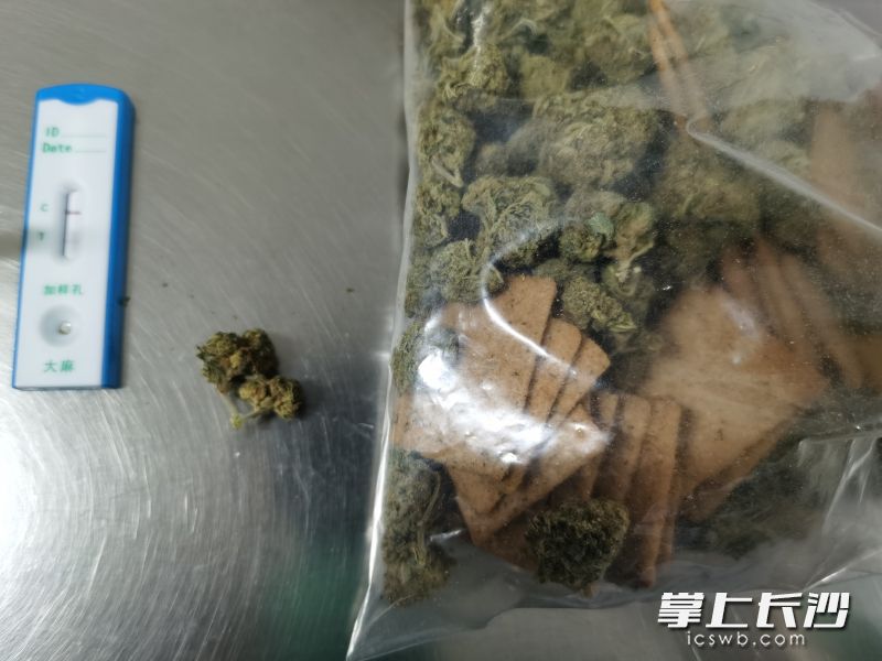 图为长沙海关工作人员查获的走私大麻。长沙海关供图