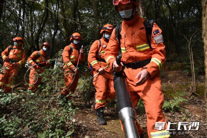在岳麓山景区，森林消防员联合蓝天队员开展森林防火巡逻和宣传。均为长沙晚报通讯员 石礼嘉 供图