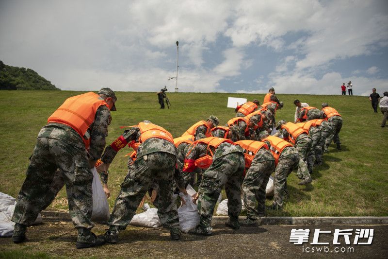 防汛演练中，民兵快速搬运沙袋，处置险情。均为长沙晚报全媒体记者 黄启晴 摄