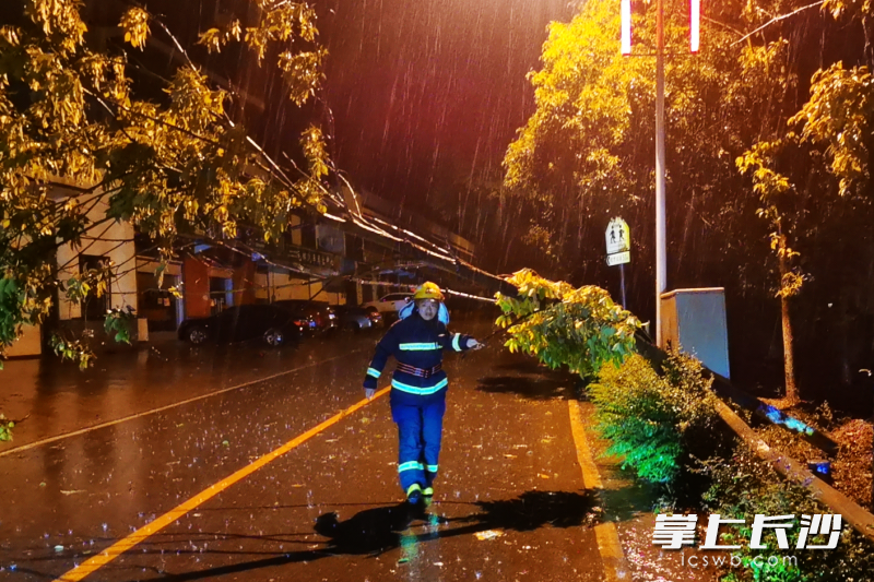 消防队员紧急处置倾倒的树木。均为长沙晚报通讯员 胡宇波 摄 消防队员紧急处置倾倒的树木。均为长沙晚报通讯员 胡宇波 摄