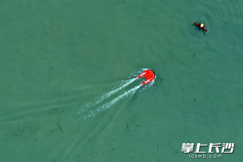 演练中，水上机器人救援“落水人员”。