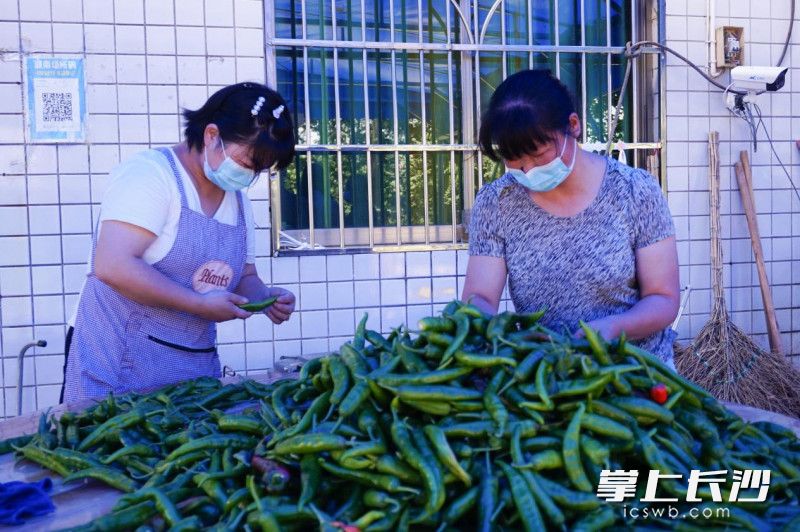 员工正在分拣辣椒。通讯员 王玉玥 摄