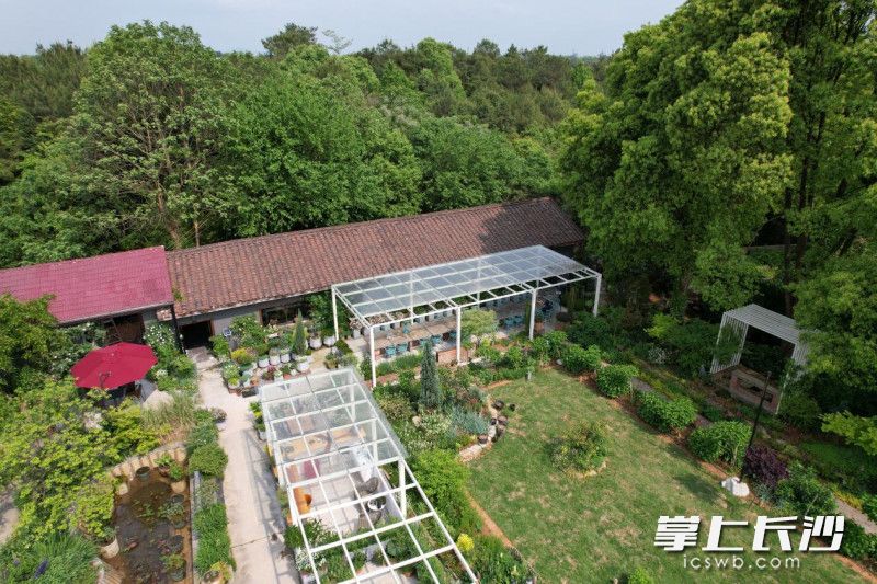 “女王当家”花卉庄园。通讯员 童佳玉摄