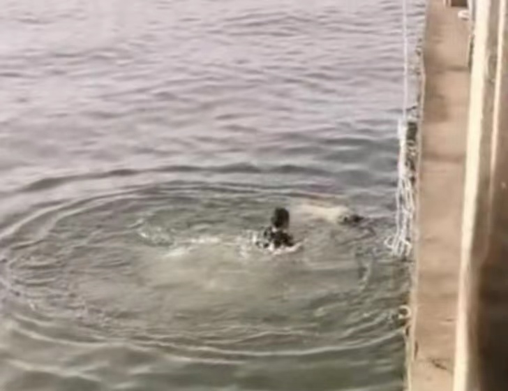 贺益迅速游至女子身边实施救助。