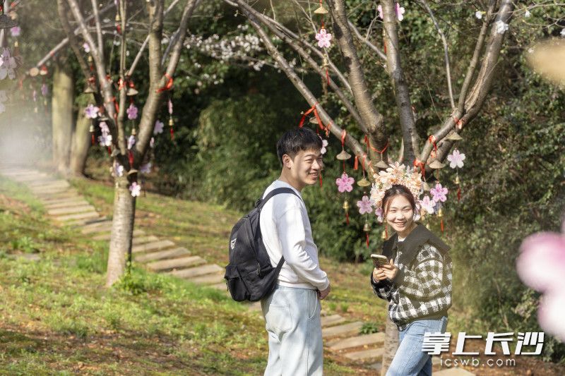 长沙世界之窗樱花林开花了，虽然不是大面积的盛开，但就是这些绽放于枝头的樱花已吸引不少市民围观。