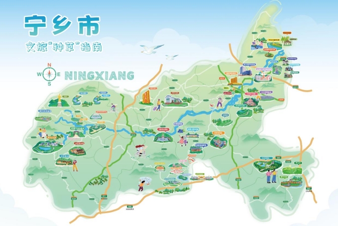 种草攻略。均为主办方供图