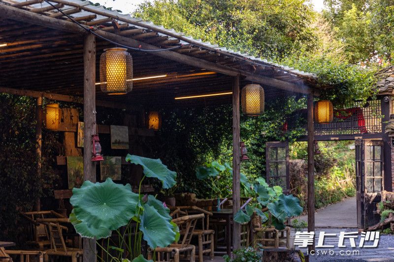 古色古香的装饰伴随着荷花的清香，将夏日荷花宴的氛围拉满。