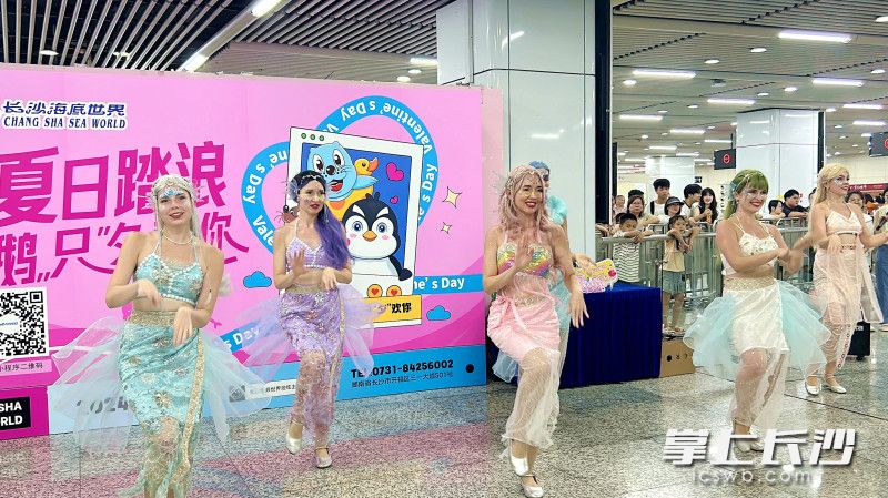 6位青春靓丽的海洋公主，与乘客进行一场充满童趣与活力的邂逅。