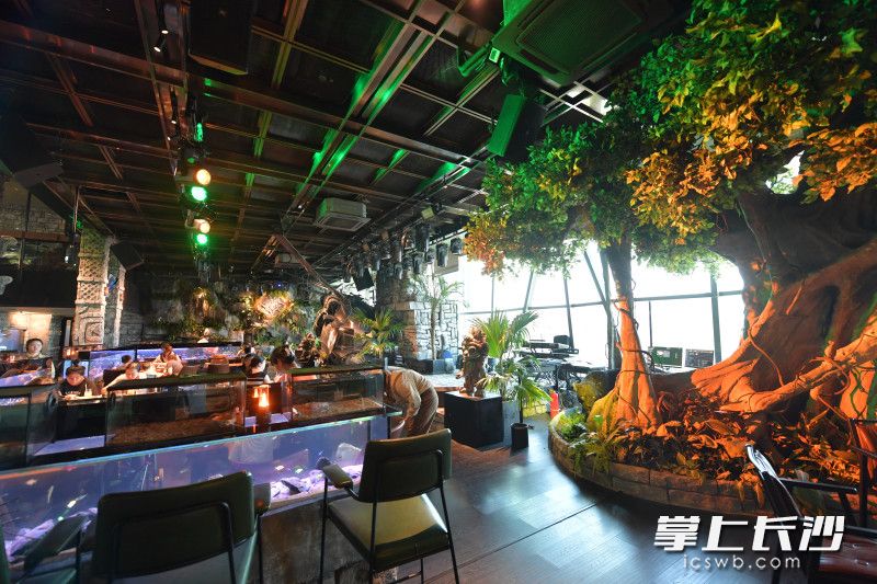 玛雅之城内的植物、装饰等都进行了精心设计，特别是动物的展示环境，按照其原生生活场景进行还原。