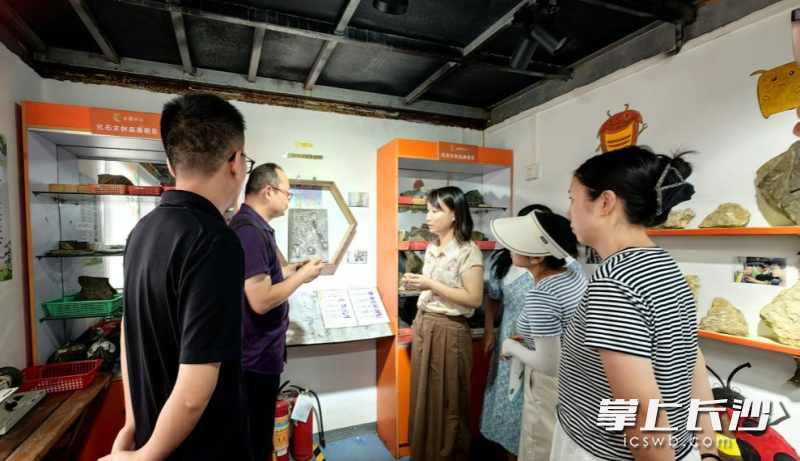 自然科普体验式培训现场。均为长沙晚报通讯员 夏亚男 供图