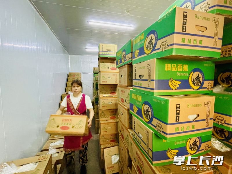 毛家桥的香蕉年销量居全省首位。