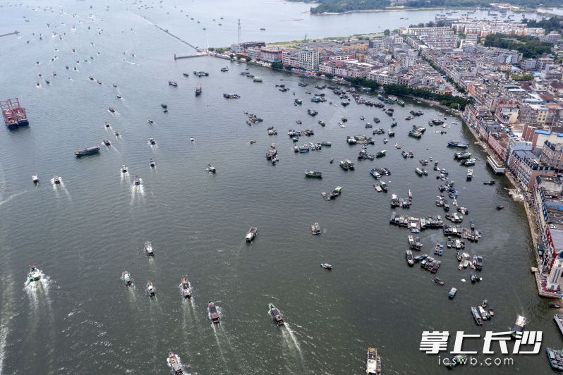 千帆竞发出港驶向大海，场面蔚为壮观，让沉寂3个半月的海面再次热闹起来。