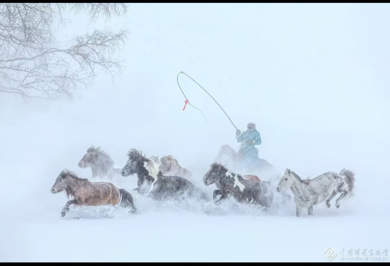 作品类别：无主题艺术类单元（单幅）作品名称：踏雪无痕作者姓名：李湘驹