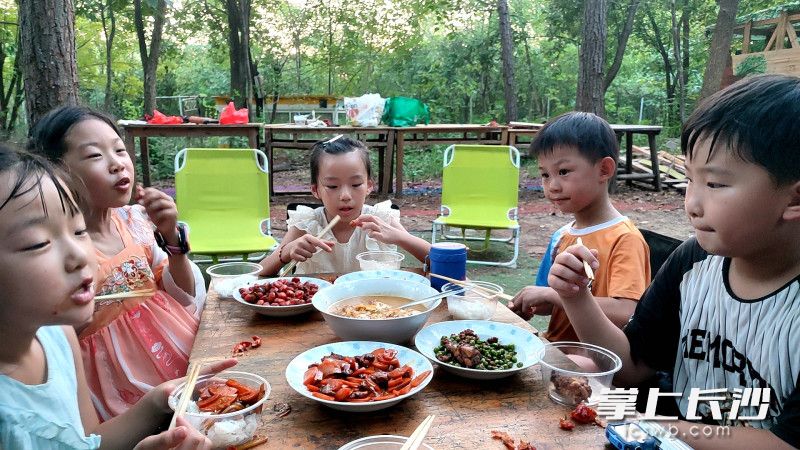 自己做的饭菜吃得特别香。