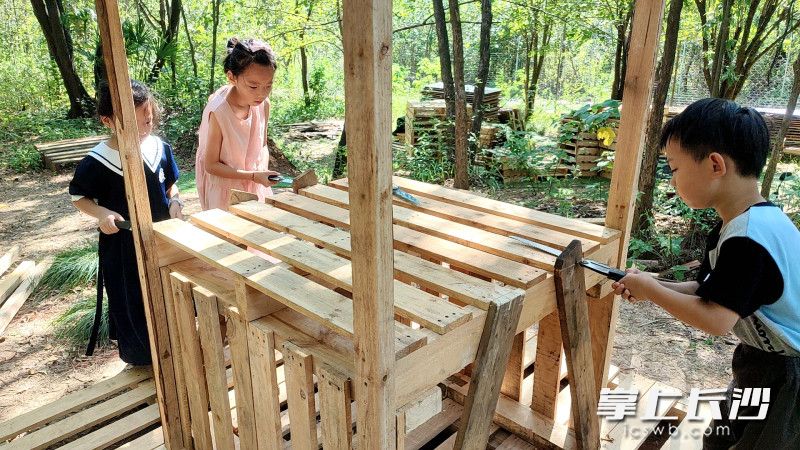 木质房车逐步成型。