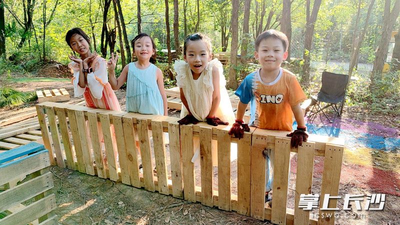 这个暑假，5个城里娃在乡下当“木匠”。均为长沙晚报全媒体记者 贺文兵 通讯员 黄俊 摄影报道