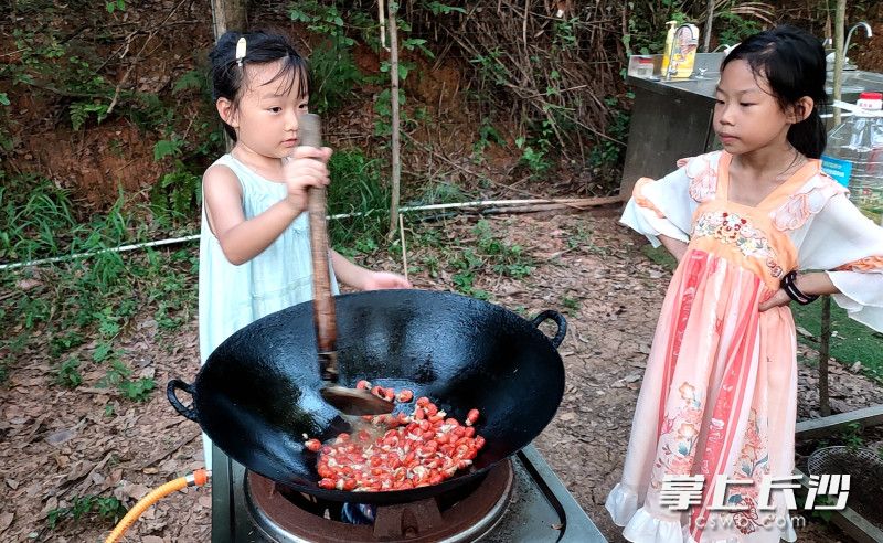 今天轮到我做饭菜，好好露一手。