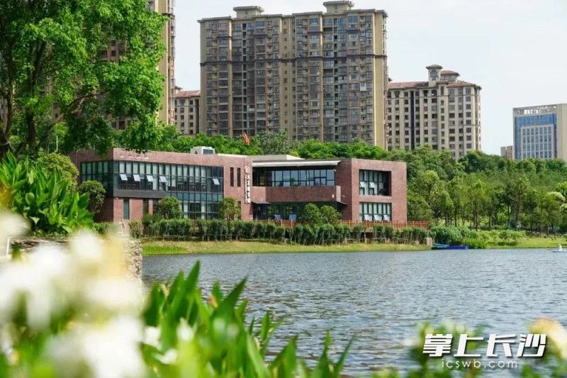 和 共享图书馆。雨花区文明办供图