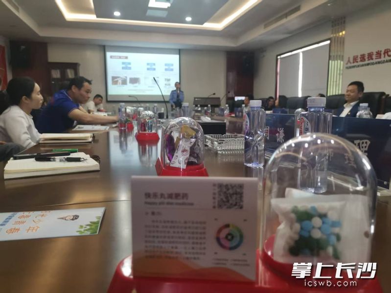 讲座现场，唐若冰借助毒品模具，向参会人员详细介绍了毒品的种类、危害性及禁毒法律法规。 均为长沙晚报全媒体记者颜家文摄
