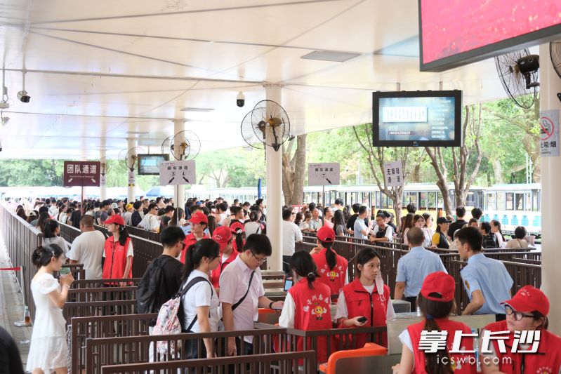 观光车全运力投入，让游客畅游景区。