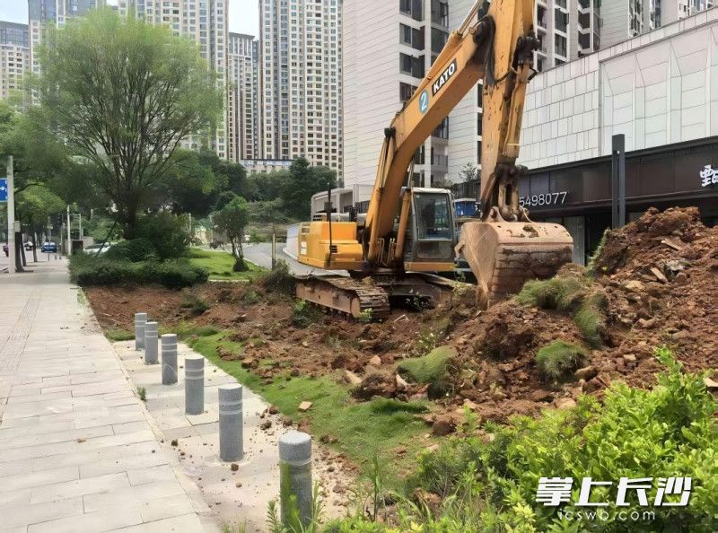 某餐饮店在装修施工期间，未办理任何审批手续，擅自将房屋东侧公共绿化铲除后硬化搭建建筑物，同时将房屋西侧公共绿化带铲除改建为停车场。 通讯员 杨志 摄