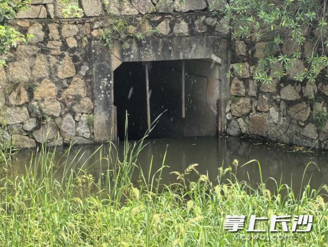 大托铺街道大托新村新港片泵站排水情况。 均为天心区应急管理局供图