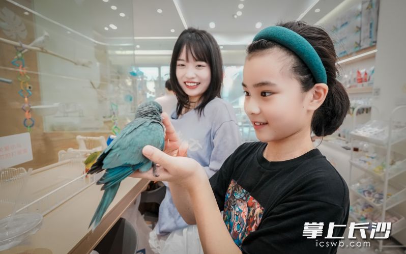 小顾客在和小鸟互动。